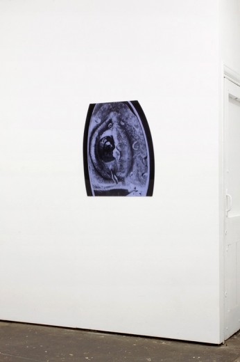 Laura Aldridge