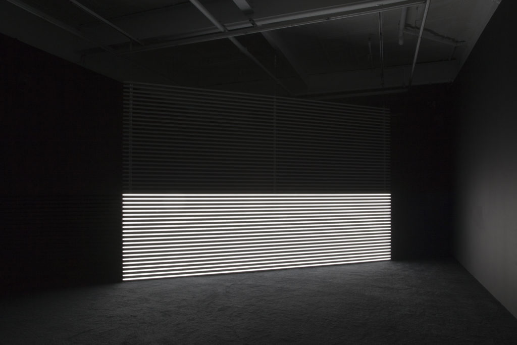 seventeen_simnett-faint-with-light-2016-v3